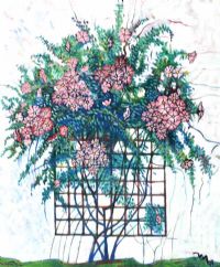 DOG ROSE ON TRELLIS by Michael Murphy at Ross's Online Art Auctions