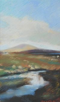 STILL POOL by Anne Marie McCaughey at Ross's Online Art Auctions