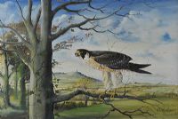 PEREGRINE FALCON by Robert B. Higgins at Ross's Online Art Auctions