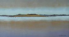 STRANGFORD LOUGH by Sara Brown at Ross's Online Art Auctions