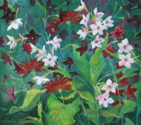 NICOTIANA by Catherine Thompson at Ross's Online Art Auctions