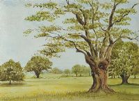HILLFIELD FOREST, ESSEX by Russell Moore at Ross's Online Art Auctions