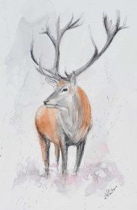 STAG by Lawrence Chambers at Ross's Online Art Auctions