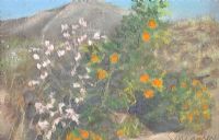 WILD FLOWERS by James Manley RUA at Ross's Online Art Auctions