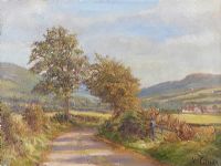 CROSS ROADS AT KINNAHALLA, MOURNE MOUNTAINS by Vittorio Cirefice at Ross's Online Art Auctions