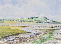 VIEWS OF STRANGFORD LOUGH by Edna Sincon at Ross's Online Art Auctions