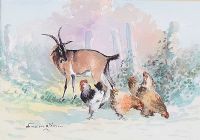 GOAT & CHICKENS by William Cunningham at Ross's Online Art Auctions