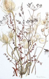 SEED CASES by Honor Irvine at Ross's Online Art Auctions