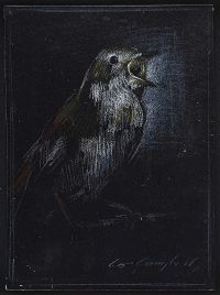 SONGBIRD ON BLACK by Con Campbell at Ross's Online Art Auctions