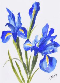STILL LIFE, BLUE IRISES by Lorraine Kidd at Ross's Online Art Auctions
