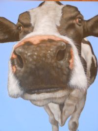 COW ON BLUE by Paul Bell at Ross's Online Art Auctions
