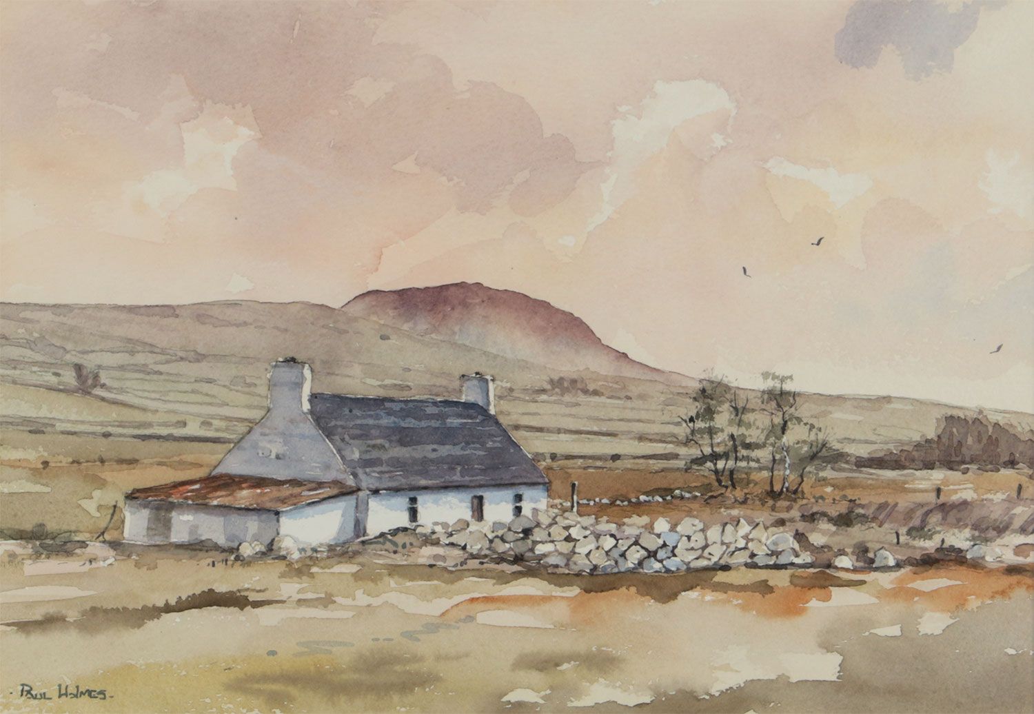 COTTAGE NEAR SLEMISH, COUNTY ANTRIM by Paul Holmes