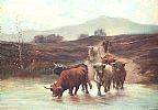 HIGHLAND CATTLE at Ross's Online Art Auctions
