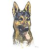 GERMAN SHEPHERD DOG at Ross's Online Art Auctions