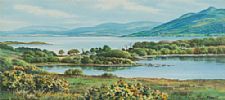 LOUGH MAC NEAN, FERMANAGH by George Farrell at Ross's Online Art Auctions