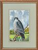 PEREGRINE FALCON by Edward McNulty at Ross's Online Art Auctions
