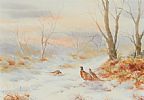 WINTER PHEASANTS by Hamilton Sloan at Ross's Online Art Auctions