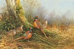 PHEASANTS by Neil Cox at Ross's Online Art Auctions