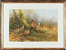 PHEASANTS by Neil Cox at Ross's Online Art Auctions