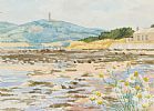 DAISIES ON THE BEACH by Padi Ainsworth at Ross's Online Art Auctions